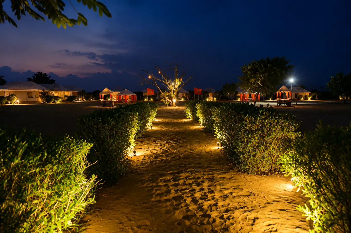 Night pathway bordered by green shrubs and warm ground lights leading toward Swiss tents